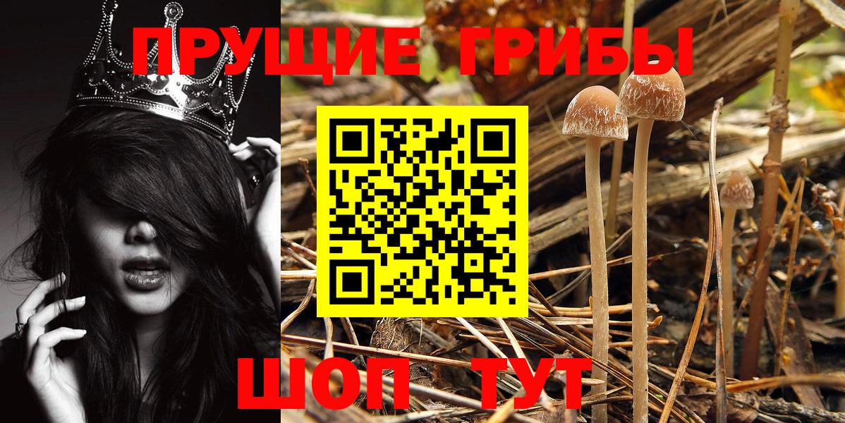 Галлюциногенные грибы GOLDEN TEACHER Дюртюли