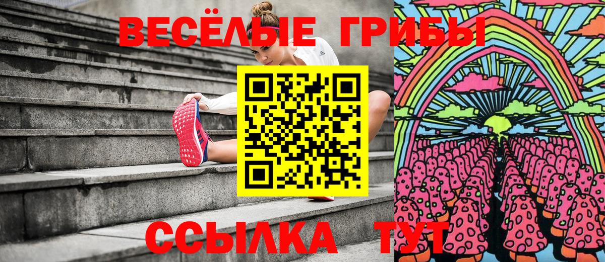 Дюртюли  закладка  Вход с VPN  Псилоцибиновые грибы Cubensis 